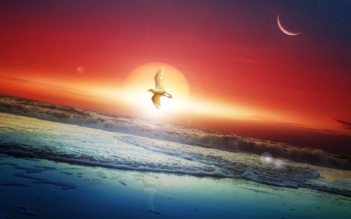 Image person surfing on sea waves during sunset