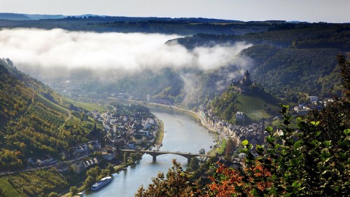 Image aerial view of green trees and river