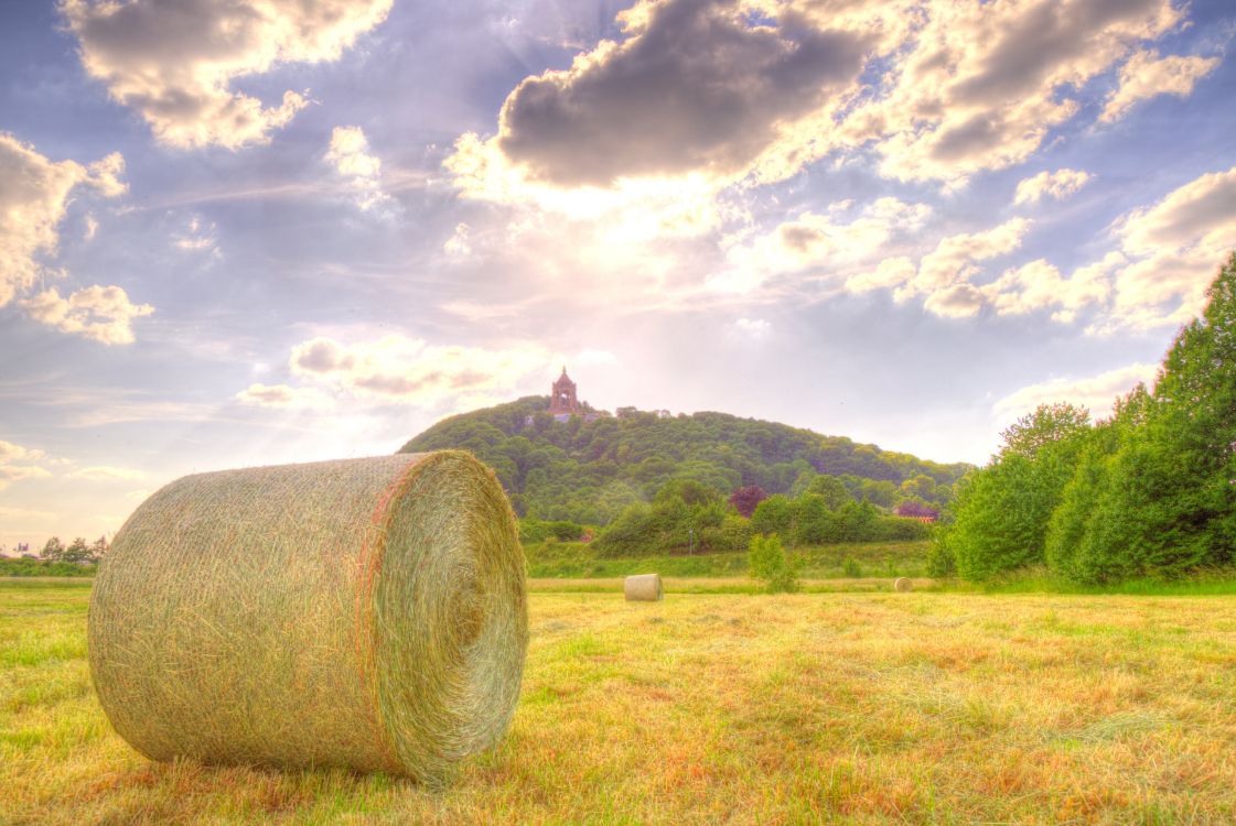 brown hays on green grass field under white clouds and blue sky during daytime