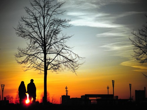 Image tree, sky, natural landscape, marriage, evening