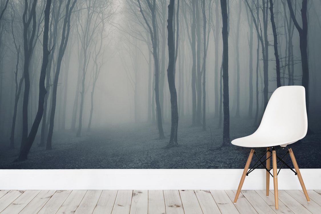 Brown Wooden Chair Near Gray Trees. Wallpaper in 1944x1296 Resolution