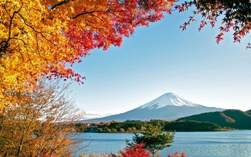 Image brown leaf tree near lake and mountain under blue sky during daytime