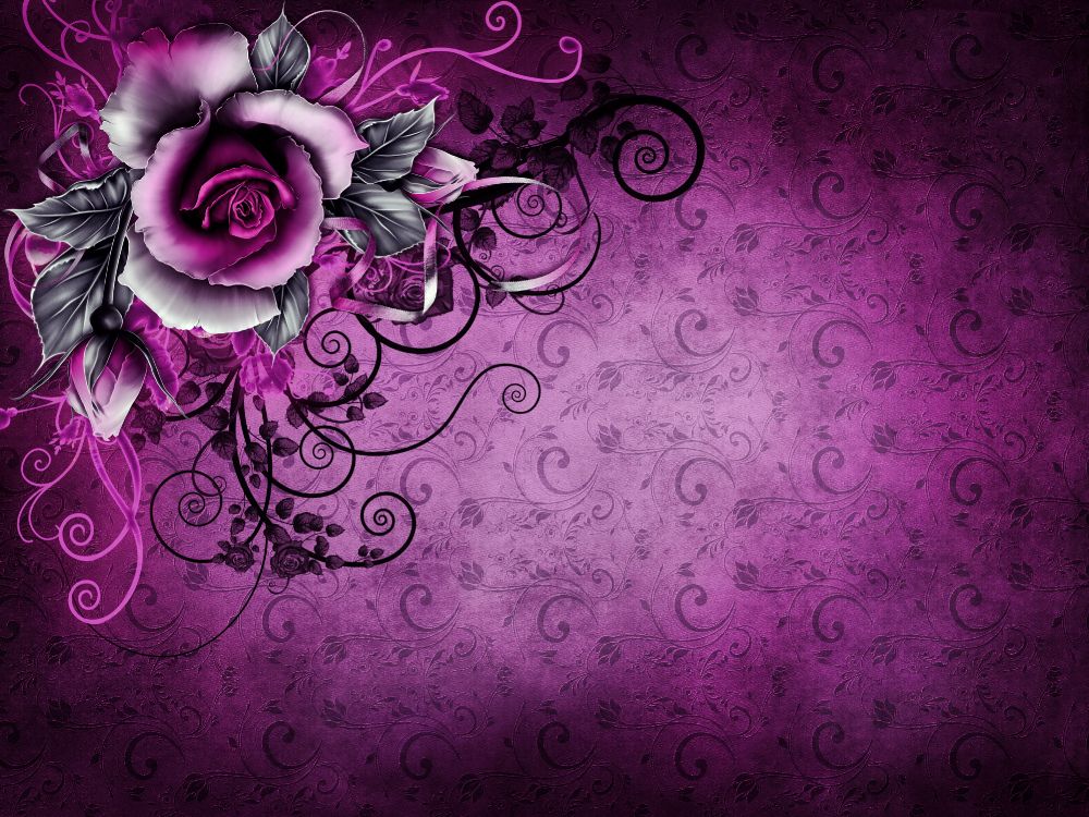 Illustration de Fleur Violette et Blanche. Wallpaper in 4000x3000 Resolution