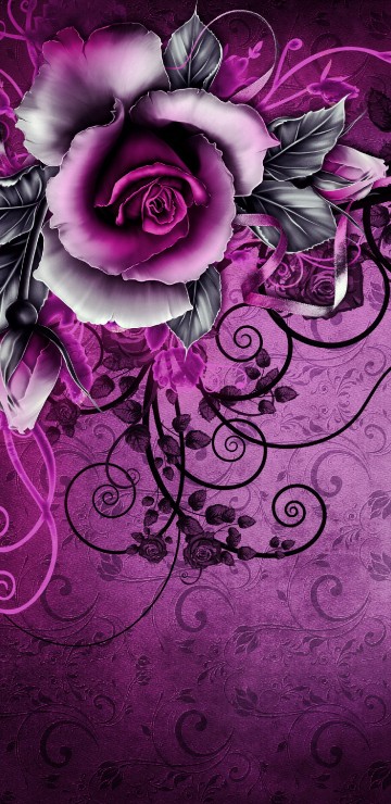 Image purple and white flower illustration