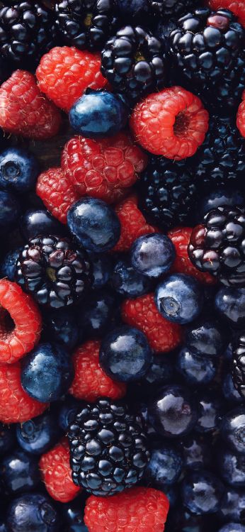 Beeren Und Himbeeren, Himbeere, Erdbeere, Blackberry, Blueberry. Wallpaper in 1125x2436 Resolution