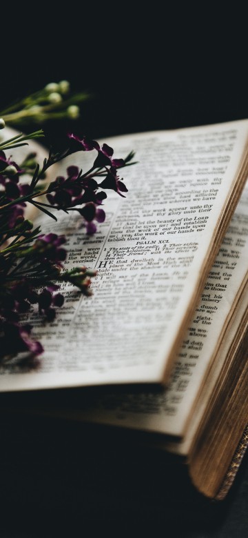 Image red flowers on book page