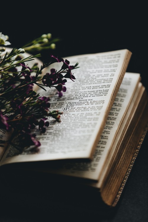 Image red flowers on book page