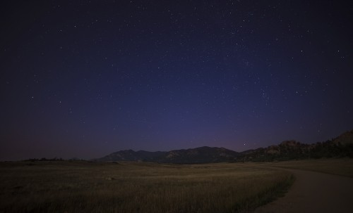 Image brown grass field under blue sky during night time