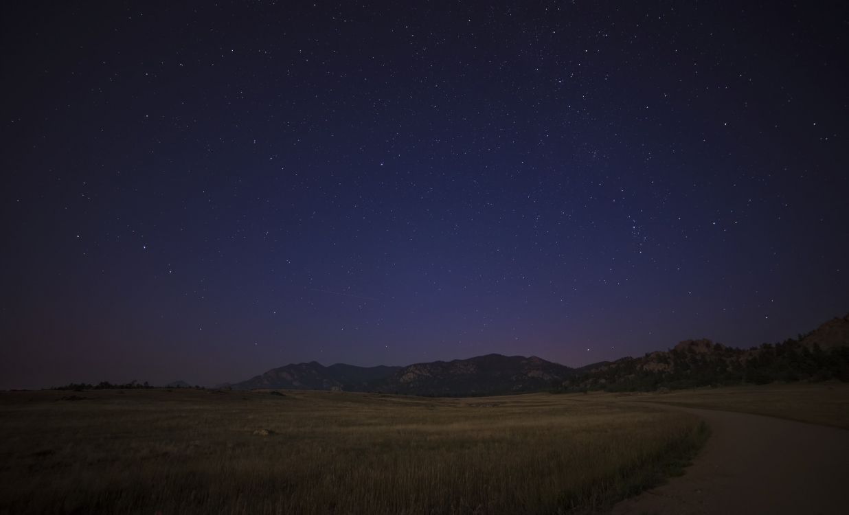 brown grass field under blue sky during night time