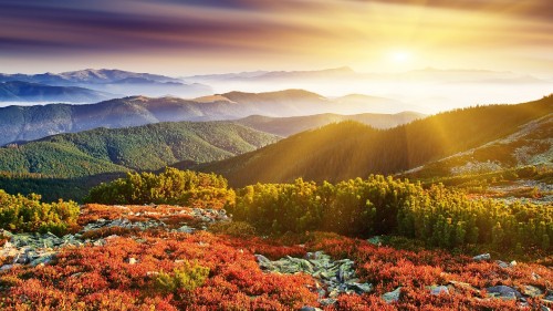 Image green trees and mountains under blue sky during daytime