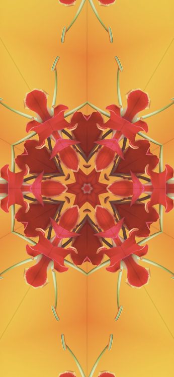 Ios 17, Caleidoscopio Ios 17, Ios, Aclaré, Manzana. Wallpaper in 1290x2796 Resolution