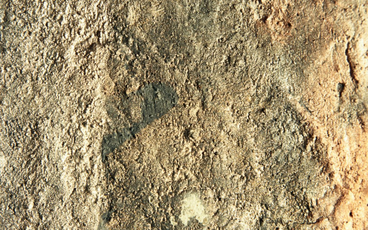 Brauner Und Schwarzer Schmutzboden. Wallpaper in 2560x1600 Resolution