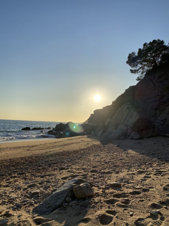 大海, 太阳, 海岸, 岸边, 沙 壁纸 1536x2048 允许