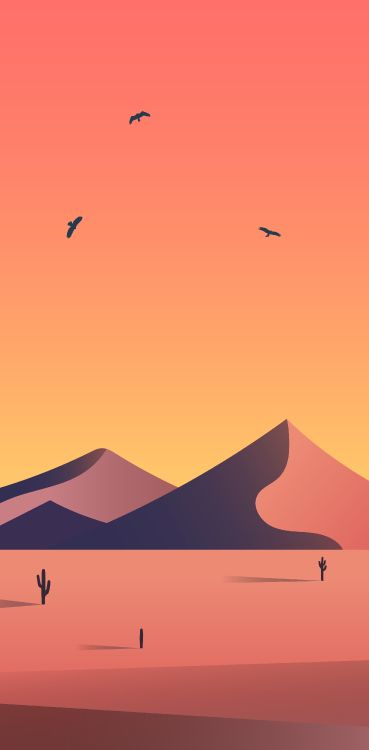 Ökoregion, Vogel, Natur, Piste, Orange. Wallpaper in 2711x5500 Resolution