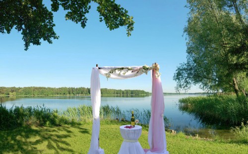 Image white hammock hanged on tree near body of water during daytime