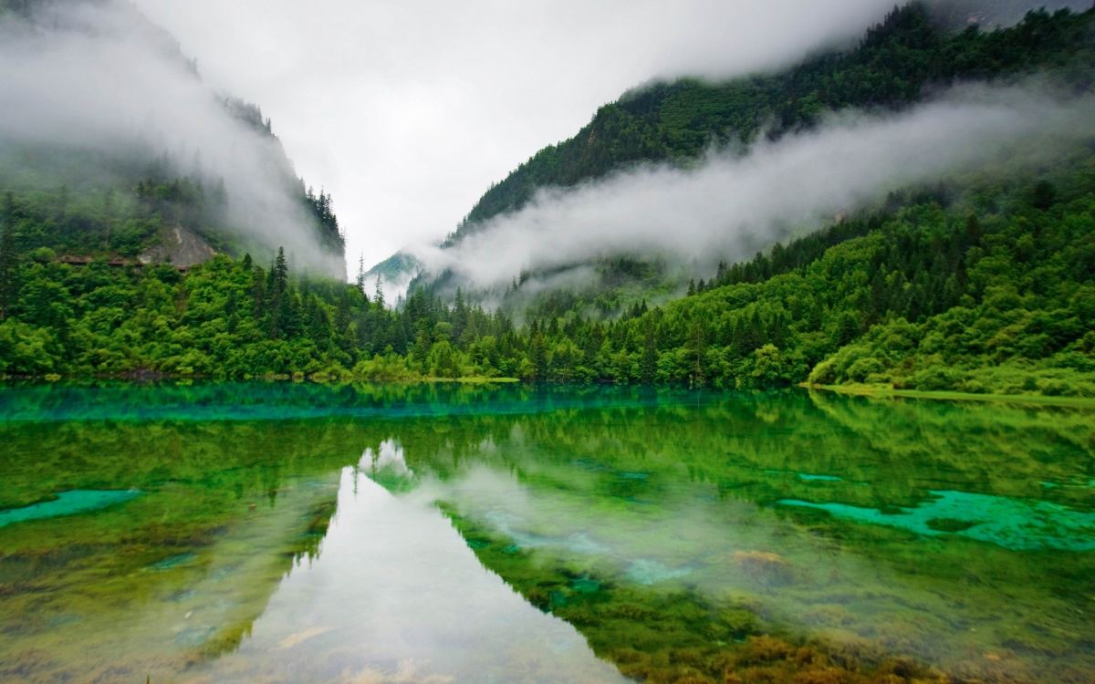 Grüne Bäume Neben Dem Fluss Unter Weißem Himmel Tagsüber Sky. Wallpaper in 2560x1600 Resolution