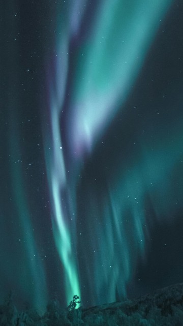 Image blue green colour night sky, aurora, colored, blue, night sky