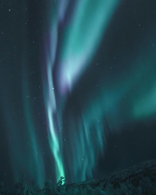 Image blue green colour night sky, aurora, colored, blue, night sky