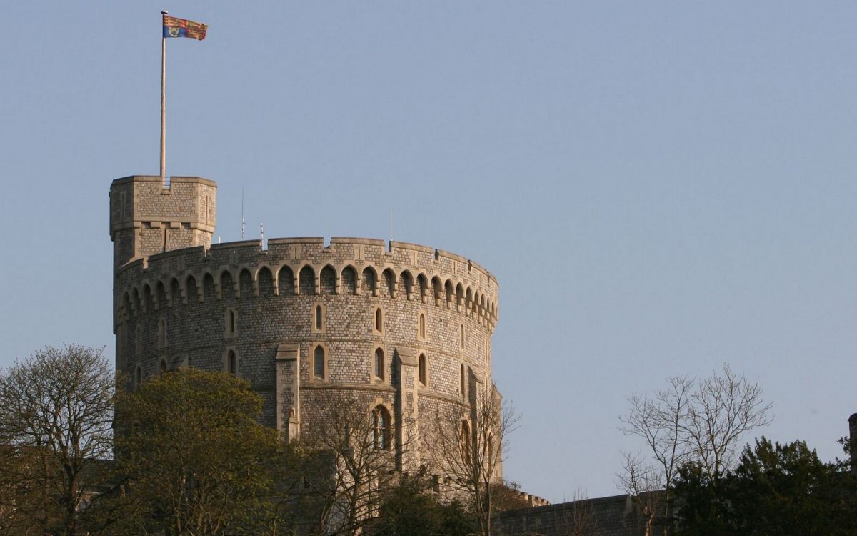 Graues Betongebäude in Der Nähe Von Bäumen Tagsüber. Wallpaper in 1920x1200 Resolution