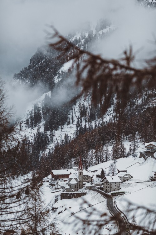 Image winter, snow, tree, water, natural landscape