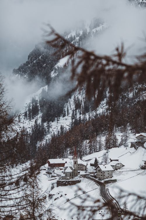 winter, snow, tree, water, natural landscape