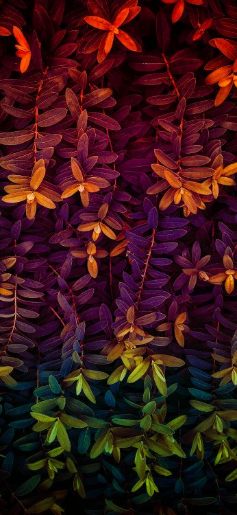 plant, purple, lei, petal, textile