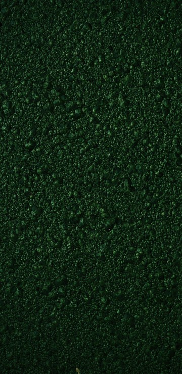Image green, colored, wall, mural, Hue