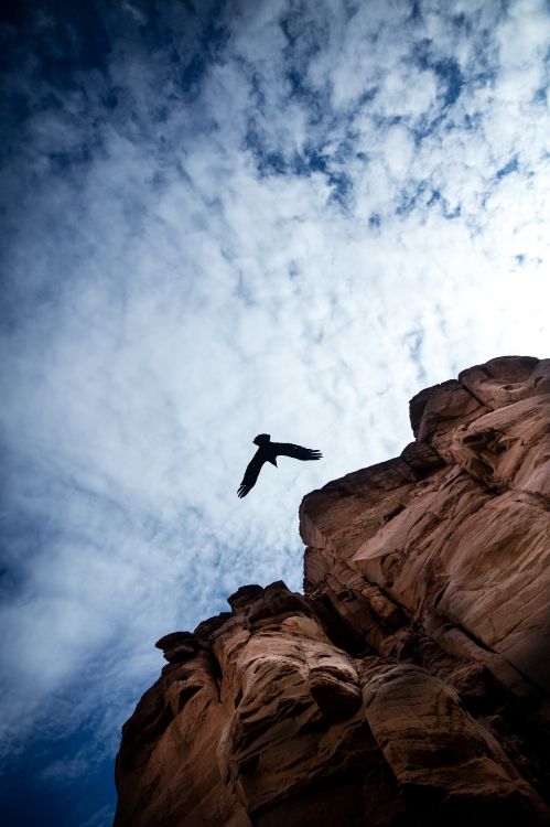 Man Jumping on Brown Rock Formation Sous Les Nuages Blancs et Ciel Bleu Pendant la Journée. Wallpaper in 5461x8192 Resolution