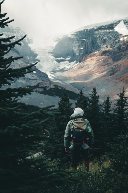 Image Sina Weibo, cloud, mountain, plant, larch