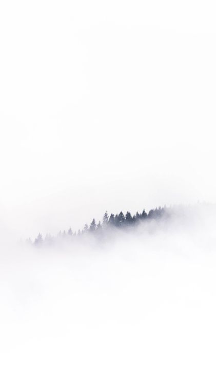 Download 2667x4741 Wallpaper Wei, Smartphone, Android, Nebel, Cloud Wei, Smartphone, Android, Nebel, Cloud. Wallpaper in 2667x4741 Resolution