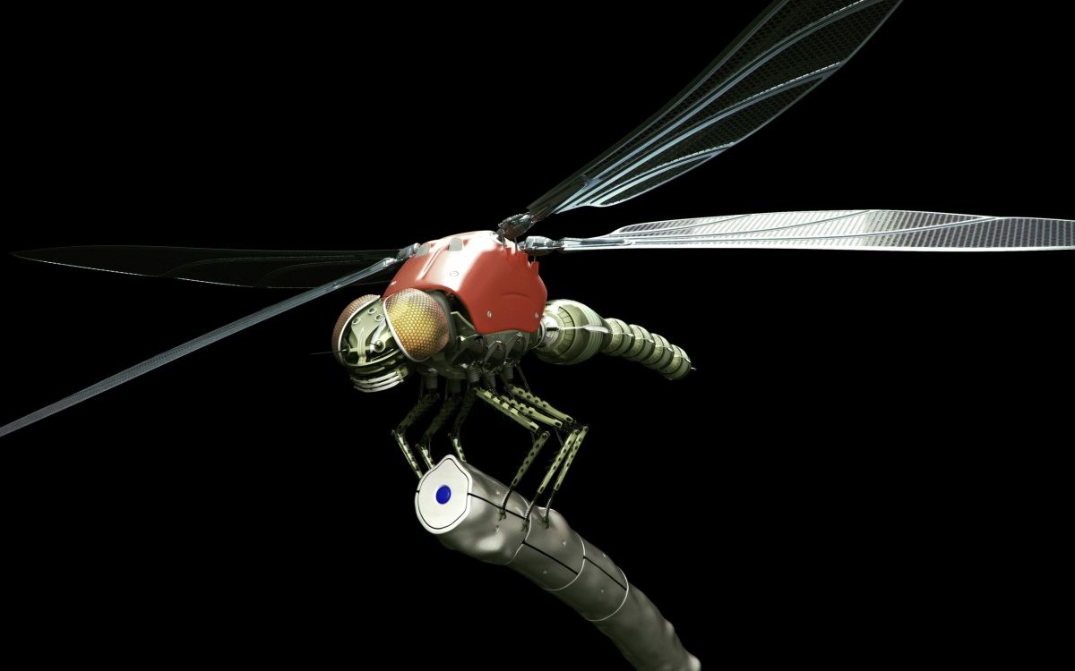 蜻蜓和damseflies, 翼, 无脊椎动物 壁纸 2560x1600 允许