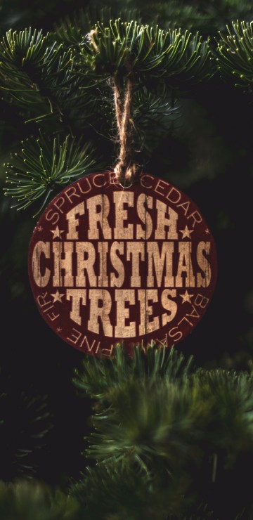 Image red and brown hanging ornament