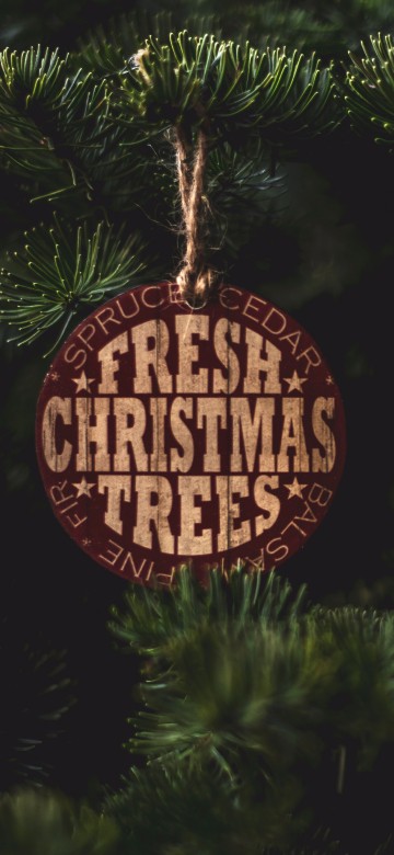 Image red and brown hanging ornament
