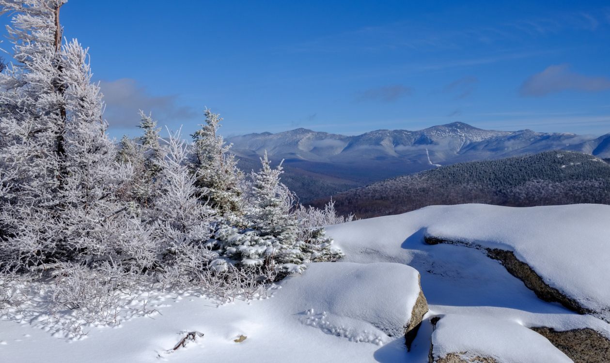 Schneebedeckte Bäume Und Berge Tagsüber. Wallpaper in 2048x1220 Resolution