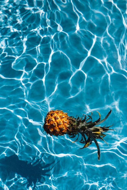 Brown and Green Pineapple Floating on Water. Wallpaper in 3648x5472 Resolution