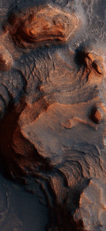 Xiaomi, MIUI 12, Xiaomi mi 10, 安卓, 智能手机 壁纸 1080x2340 允许