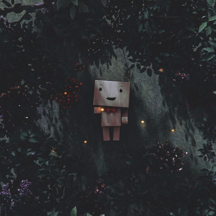 Nichoir en Bois Marron Sur Feuilles Vertes. Wallpaper in 3840x3840 Resolution