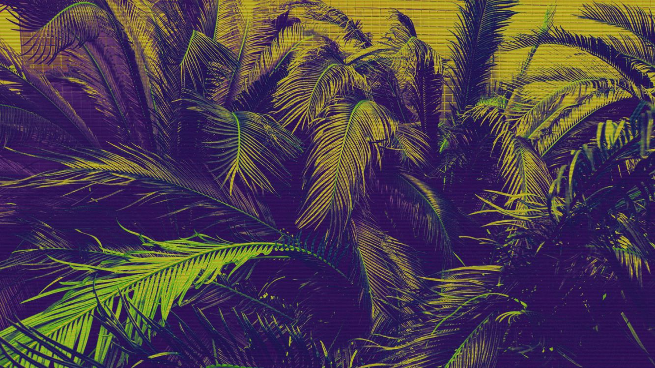 Arte, Planta Terrestre, la Floración de la Planta, Patrón. Wallpaper in 1920x1080 Resolution