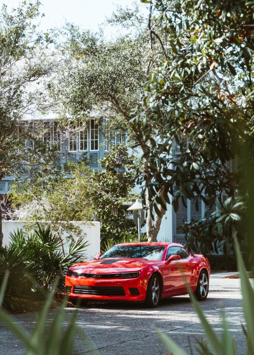 Image red chevrolet camaro parked near green tree during daytime