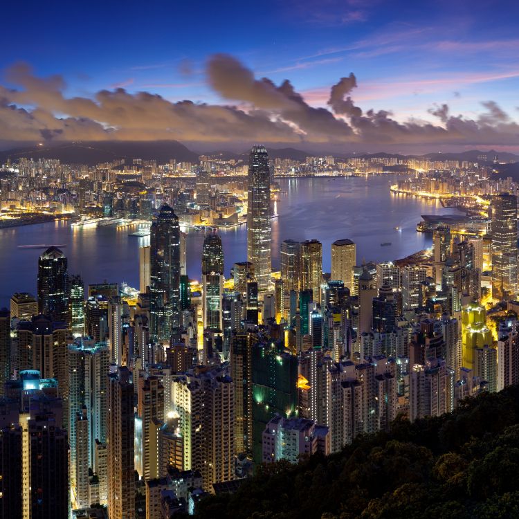 city skyline during night time