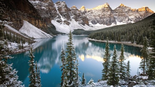 Image green pine trees near lake and snow covered mountain during daytime