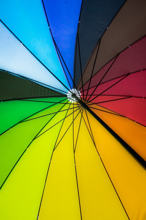 Image yellow green and purple umbrella