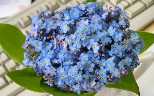 Image blue and white flower bouquet