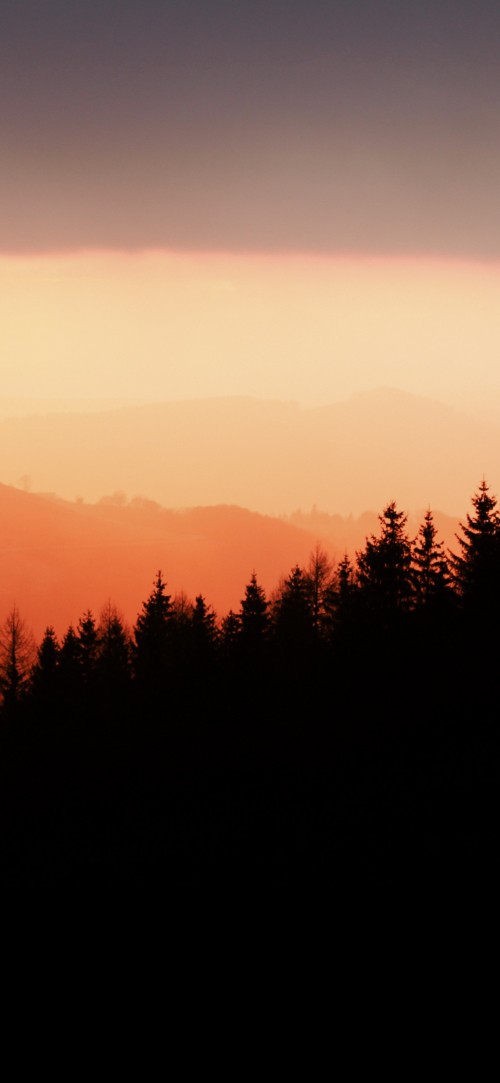 Image atmosphere, ecoregion, natural landscape, mountain, branch