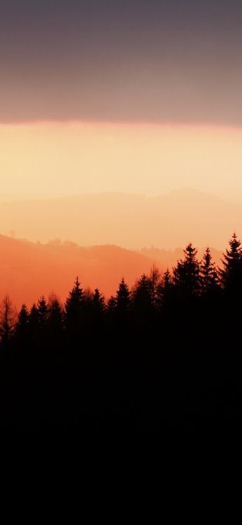 Atmosphère, L'écorégion, Paysage Naturel, Afterglow. Wallpaper in 1080x2340 Resolution