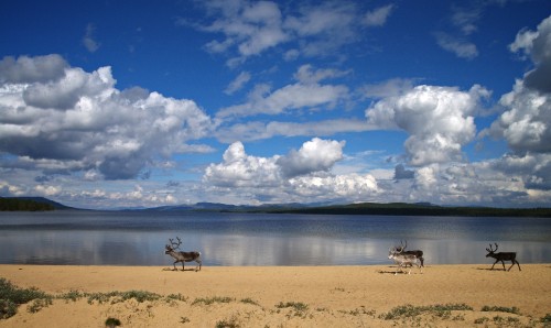 Image people on beach during daytime