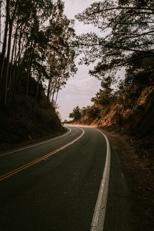 Image road, tree, lane, asphalt, natural landscape