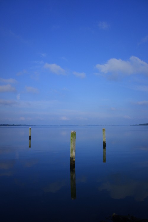 Image brown wooden stick on body of water during daytime