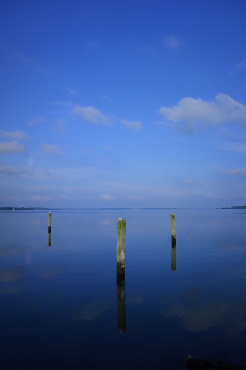 brown wooden stick on body of water during daytime