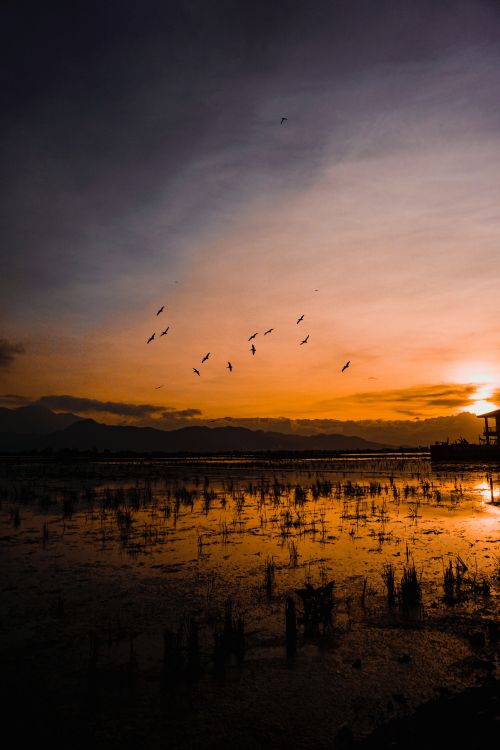 Wasser, Cloud, Horizont, Sonnenuntergang, Reflexion. Wallpaper in 4000x6000 Resolution